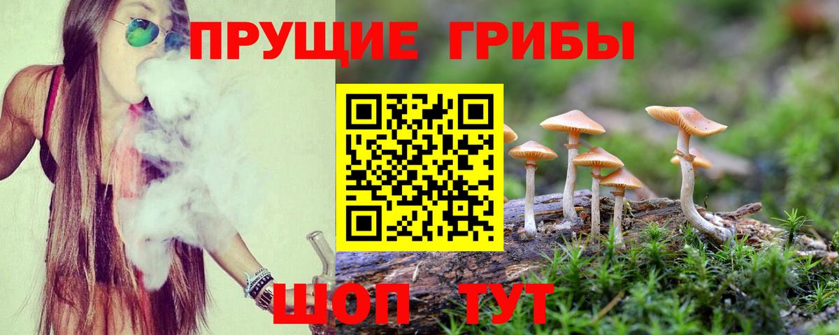 Усинск  Галлюциногенные грибы мицелий  Вход с VPN 